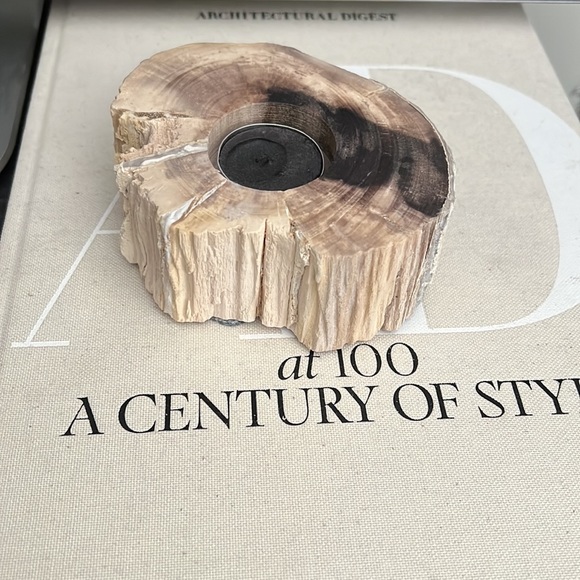 Genuine petrified wood tea light holder & decorative object natural cream black - Picture 3 of 16